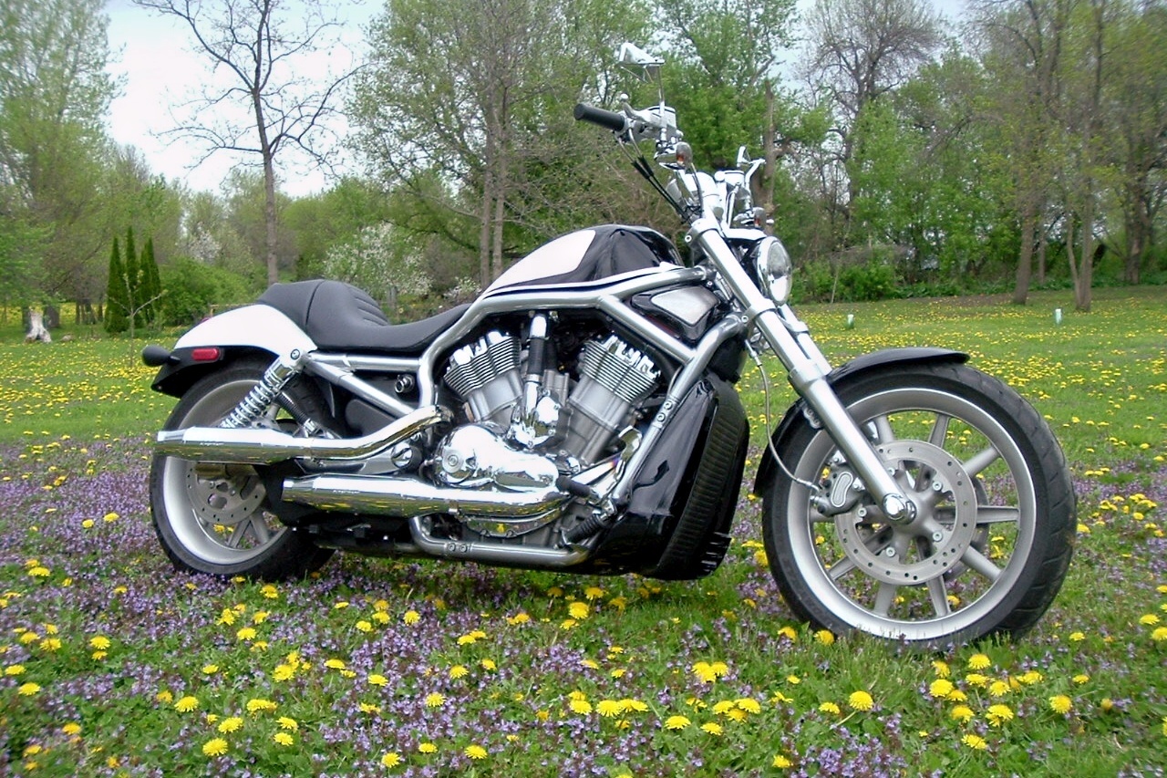 Benefits Of Harley Davidson V Rod Bobber